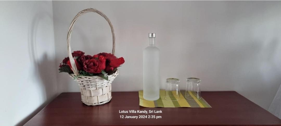 Lotus Villa Kandy Peradeniya Bagian luar foto