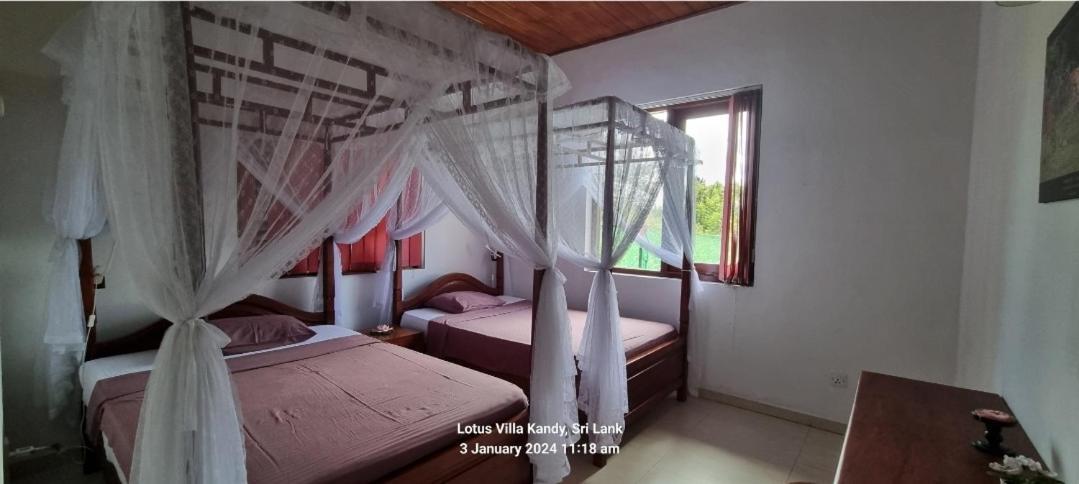Lotus Villa Kandy Peradeniya Bagian luar foto