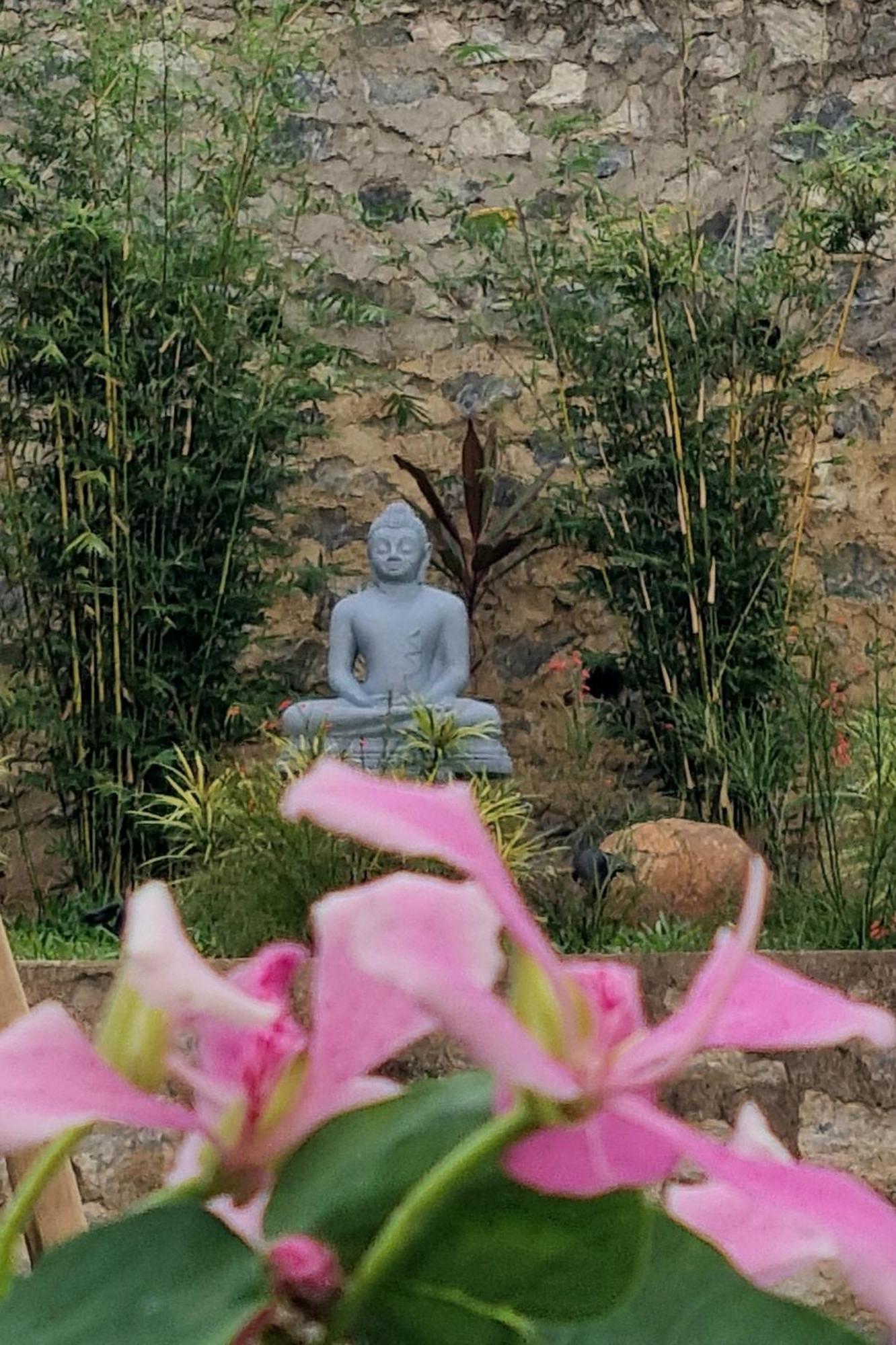 Lotus Villa Kandy Peradeniya Bagian luar foto